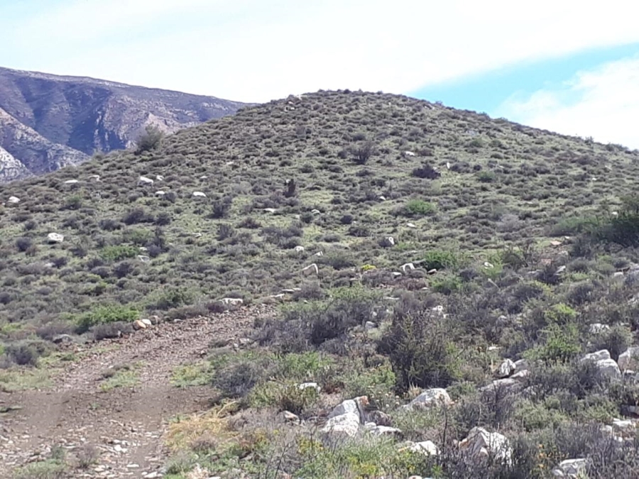 5 Bedroom Property for Sale in Laingsburg Rural Western Cape